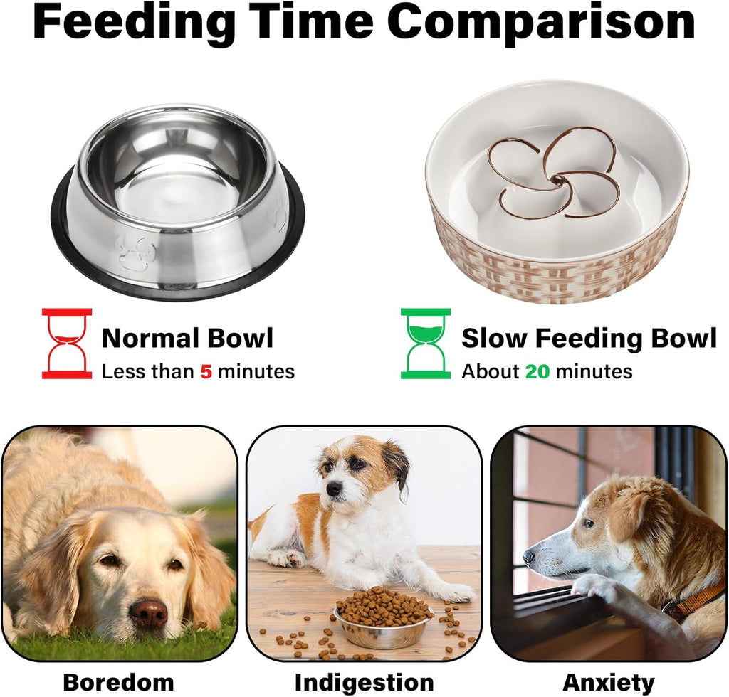 Non-Slip Ceramic Dog Bowl for Healthy Slow Eating