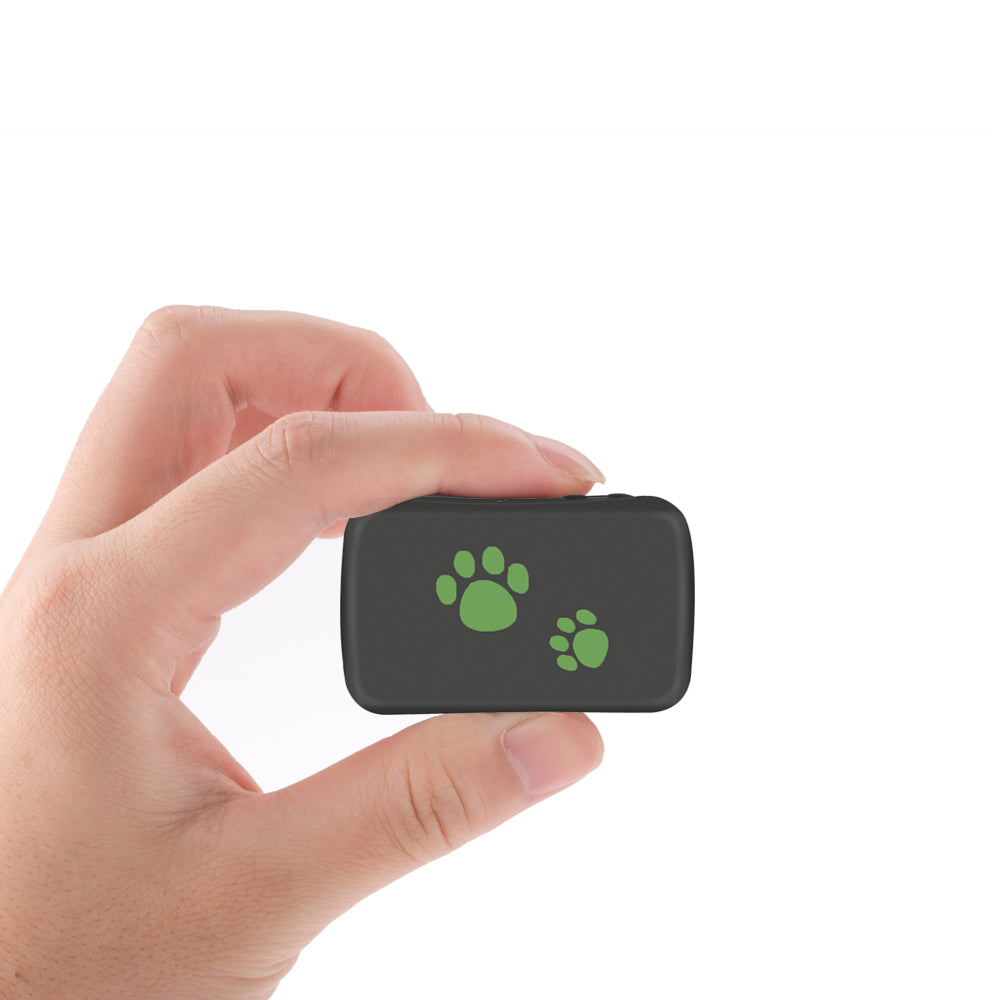 Pet GPS Tracker – Prevent Your Pet from Getting Lost